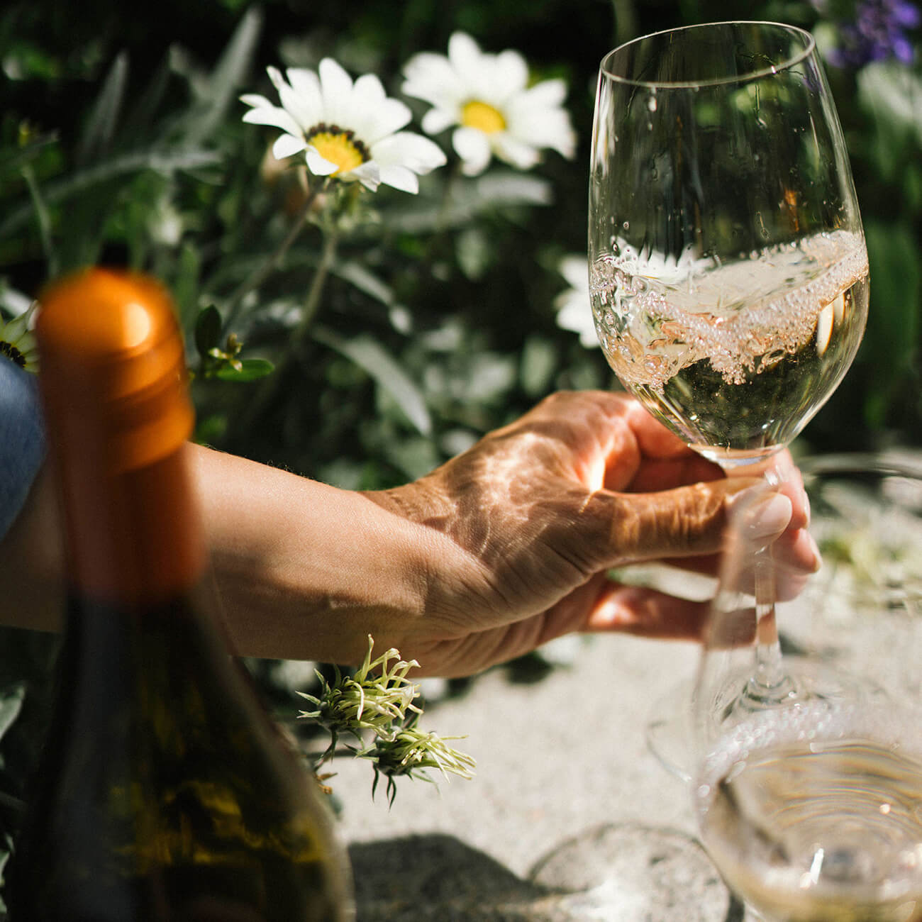 sandhill winery outdoor wine picnic