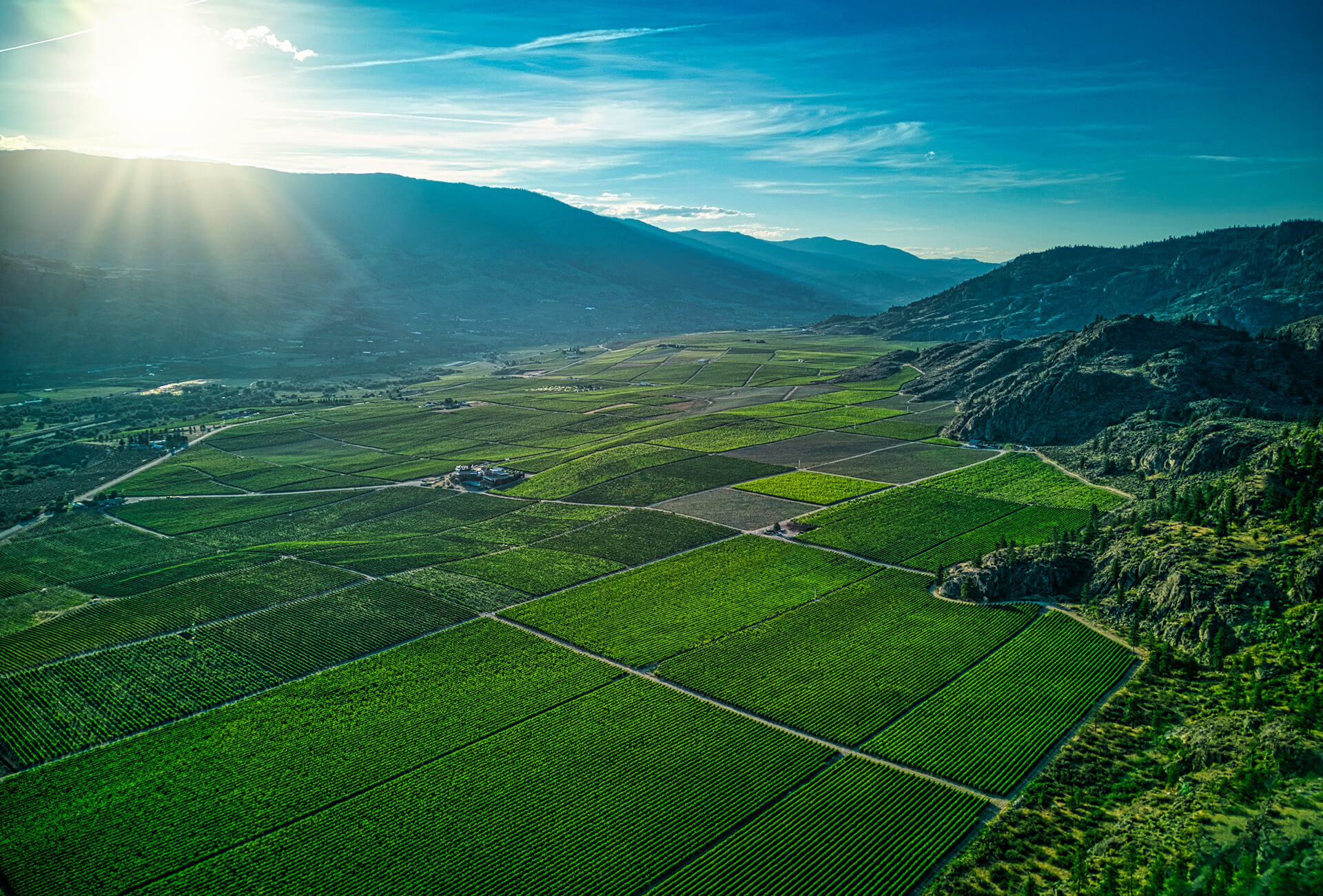 a green fields with mountains in the background