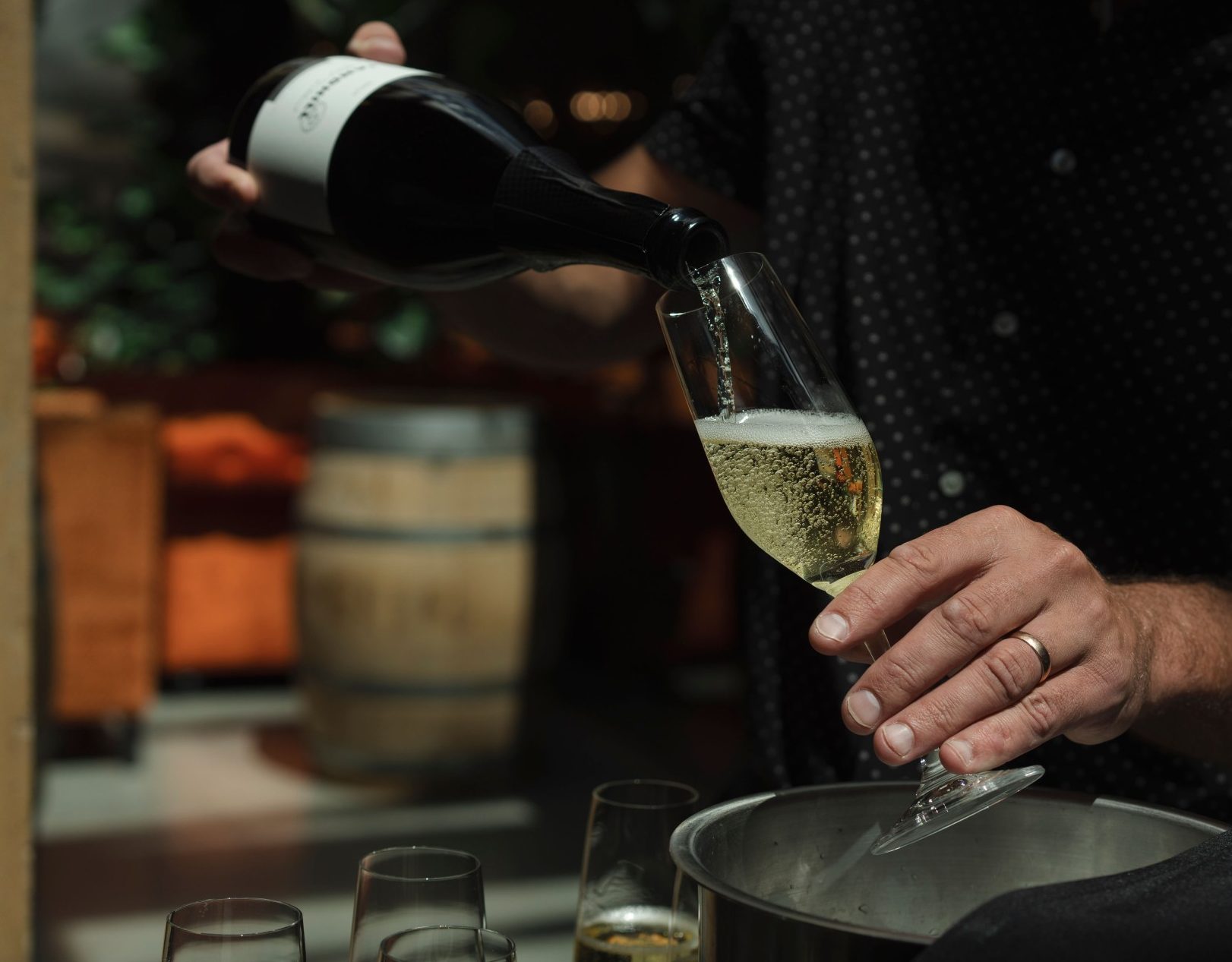 SANDHILL 146 e1776375925431